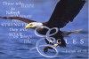 OnWingLikeEagles